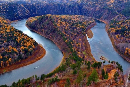 Râul Yenisei caracteristici ale florei și faunei fotografie