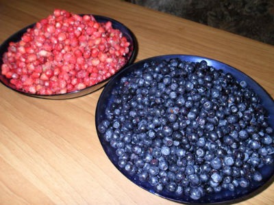 Reteta pentru fructe de afine