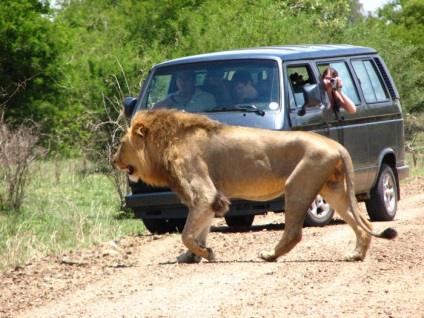 Cea mai mare rezervație naturală din Africa