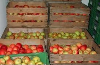 Secretele de depozitare pe termen lung a fructelor și legumelor proaspete