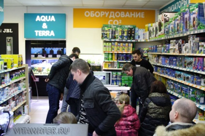 Műhely falra szerelhető akváriumok lehetőséget kínálnak amatőrök és profik számára