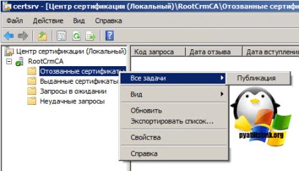 отнемането на сертификата на сървъра не е на разположение 0x80092013 грешка (-2146885613), настройка на Windows сървъри