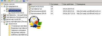 отнемането на сертификата на сървъра не е на разположение 0x80092013 грешка (-2146885613), настройка на Windows сървъри