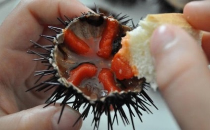 Mâncați în direct 10 dintre cele mai sadice feluri de mâncare din lume - știri în fotografii