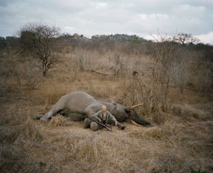 Cât costă să ucizi un animal din savana africană