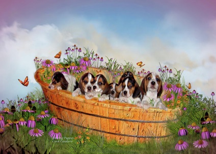 Câini în imaginile artistului american, carol kavalaris