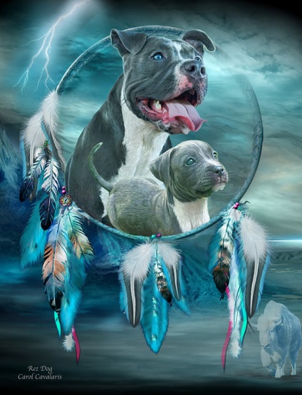 Kutya az amerikai művész carol kavalaris képében