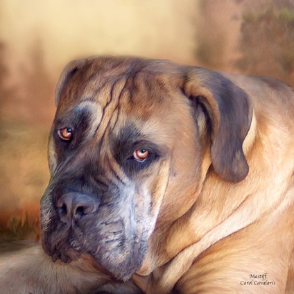 Câini în imaginile artistului american, carol kavalaris