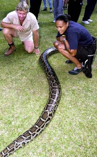 Steve Irwin - vânător de crocodili