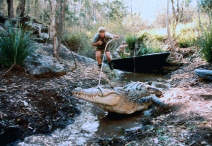 Steve Irwin - vânător de crocodili