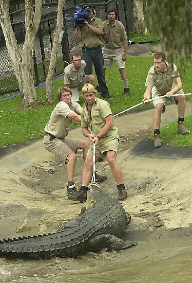 Steve Irwin - vânător de crocodili