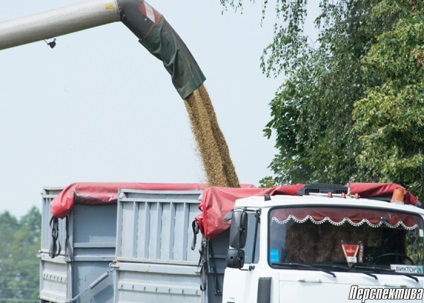 Strada într-un mod Kvasovo cum să recoltați pâine pe ferma colectivă