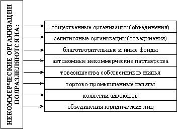 Teoria organizării este esența și caracteristicile organizațiilor non-profit