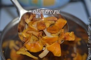 Salata calda cu rosii si chanterelles