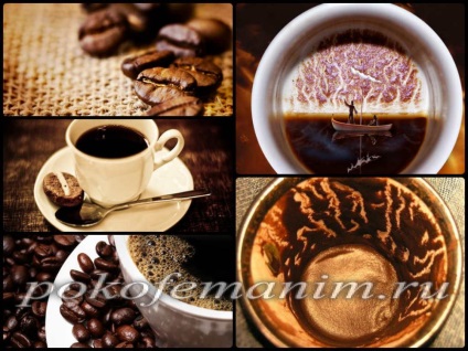 Interpretarea averii despre cafea, ghicitul asupra interpretării artei de cafea a ariciului