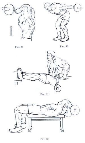 Brachiul triceps al umărului - antrenament și exerciții