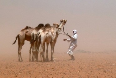 A turisták az arab országokban számítanak 