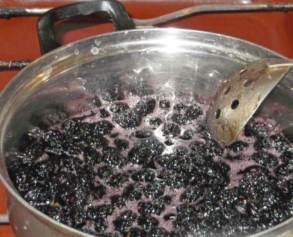 Mulberry dosh - sirop delicios și util de la tuse din mure de fructe de pădure reteta acasă