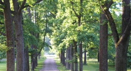 Manor lauritsalan kartano - lappeenranta, Finlanda