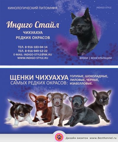 Cărți de vizită pentru câini, pisici