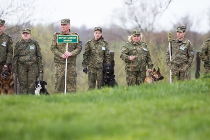 În Kaliningrad, au învățat câinii să caute chihlimbar