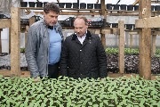 пресни плодове и зеленчуци център се оформя в Калининградска област