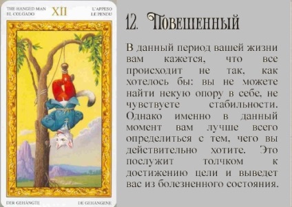 Pisica albă de tarot