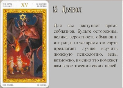 Pisica albă de tarot