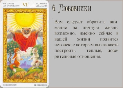 Pisica albă de tarot