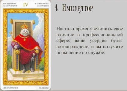 Pisica albă de tarot