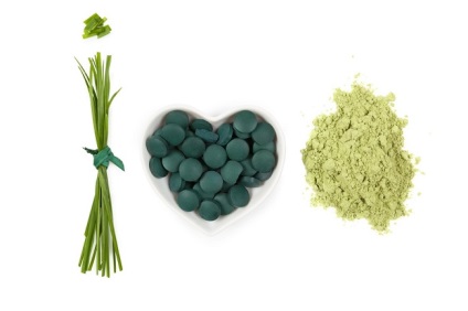 Chlorella - hasznos tulajdonságok számos betegség kezelésében