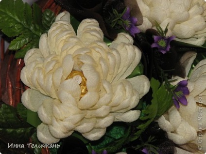 Chrysanthemums și mini m, țara de maeștri