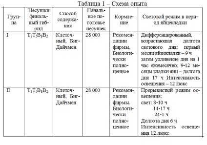 Producția de ouă a găinilor în condiții de lumină scurtă și lumină intermitentă -