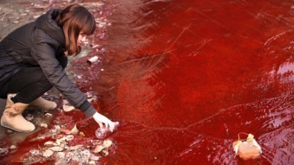 Vízszennyezés Kínában (37 fotó) - rajongói sajtó - érdekes és lenyűgöző hírek a világ minden tájáról