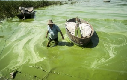 Vízszennyezés Kínában (37 fotó) - rajongói sajtó - érdekes és lenyűgöző hírek a világ minden tájáról