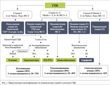 Sănătatea Kazahstanului - chemoembolizarea transarterială a leziunilor hepatice ale ficatului