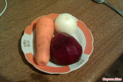 Zöld borsch a sorrel (az egyik lehetőség) fotó recept