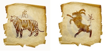 Capră feminină și tigru masculin - semnează compatibilitatea