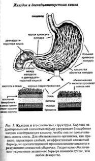 Viața celulară, sănătatea și nutriția sănătoasă