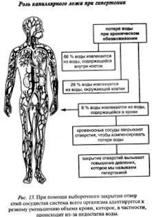 Viața celulară, sănătatea și nutriția sănătoasă