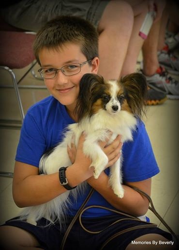 Faceți cunoștință cu un câine cântărind 1, 4 kg, care salvează viața unui băiețel în fiecare zi!
