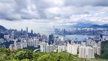 7 platforme de vizualizare gratuite din Hong Kong - chopacho