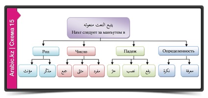 8 Pliante conform regulilor arabe