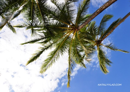 Ausztrália cairns, Queensland - mit nézzünk meg Cairnsban, natalyvlad blog