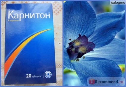 Бад Леово мегаслов (Леово) Бад Леово мегаслов