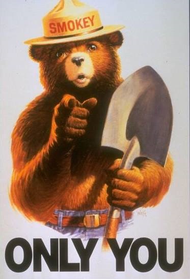 Bear-educație împotriva ursulețului înainte de chukakbuki