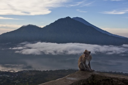 Bali bilete, cum sa ajungi la paradis ieftin, zboruri ieftine, hoteluri, tururi de ultim moment