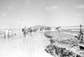 Lupta la Lacul Hasan (istoria operațiunilor de luptă și fotografii)