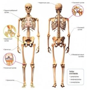 Ceea ce este util pentru articulații este o listă de alimente care sunt obligatorii în dietă