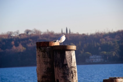 Ce să vezi pe Lacul Garda